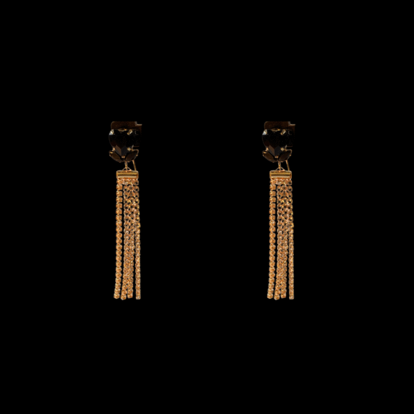 A stylish and glamorous earring